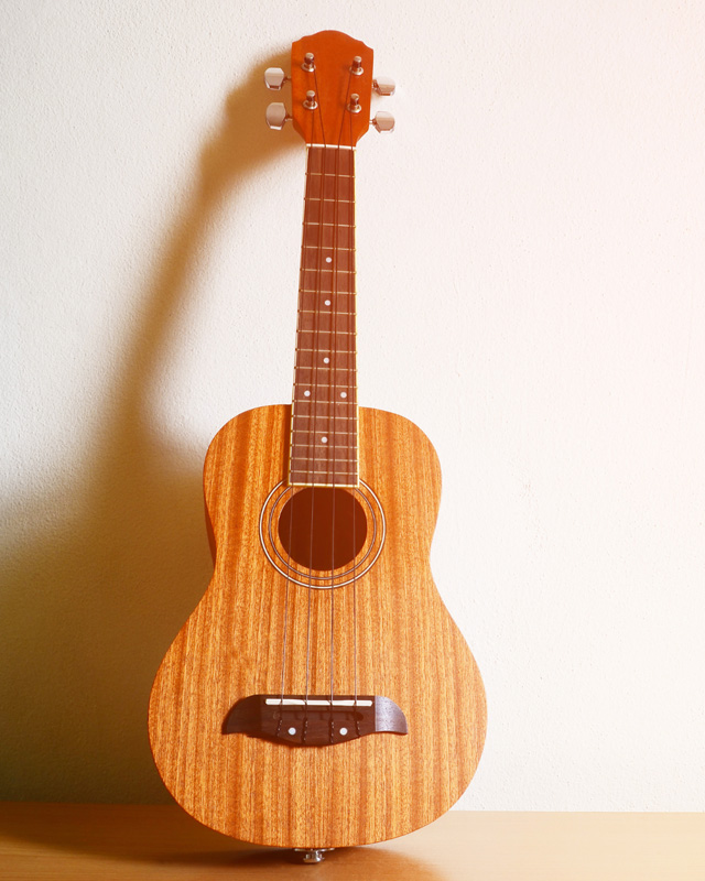 Corso libero di Ukulele moderno